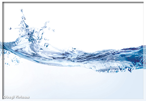 Nước chiếm 75% cơ thể của bạn